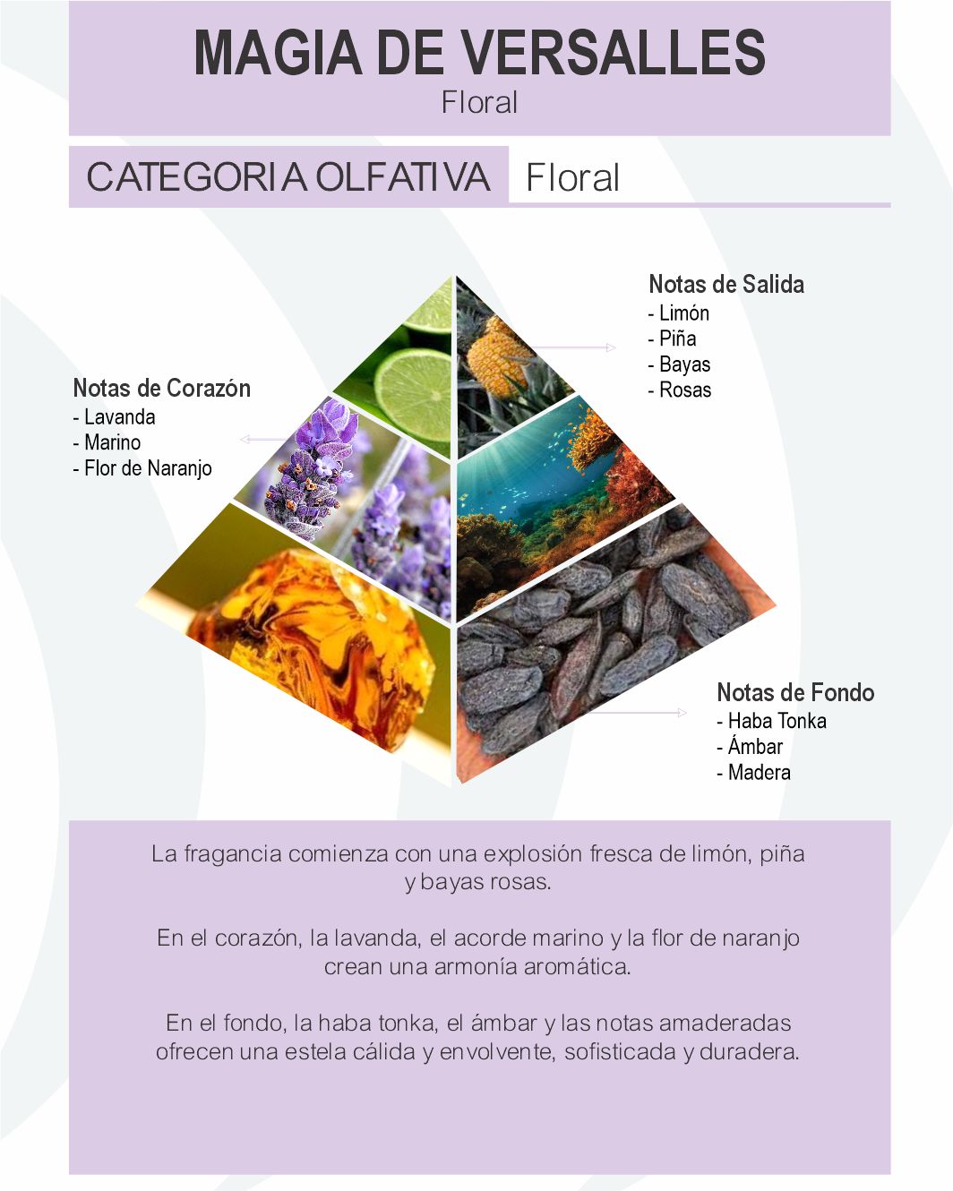 Magia de Versalles