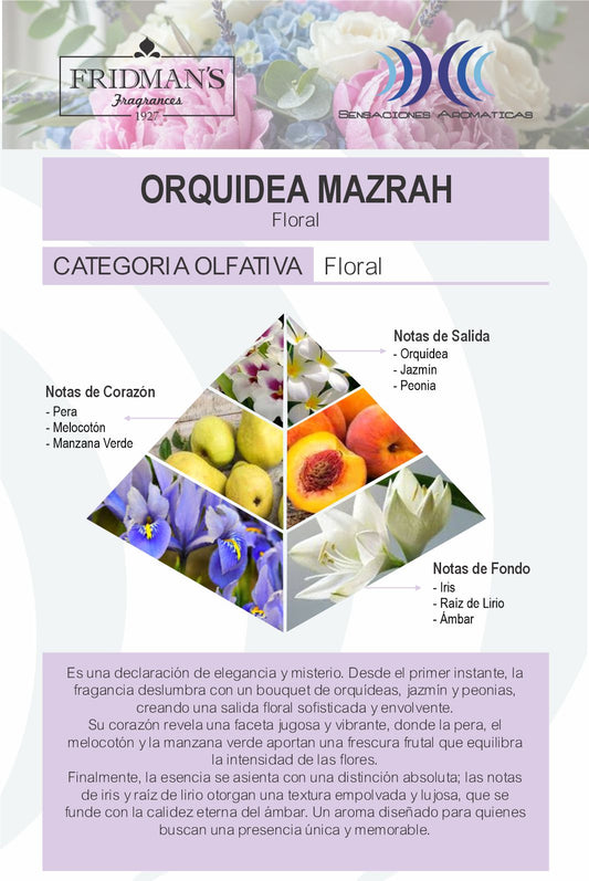 Orquidea Mazrah
