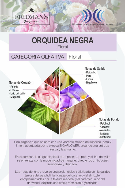 Orquidea Negra